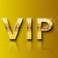 VIP特价