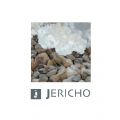 jerich微信号